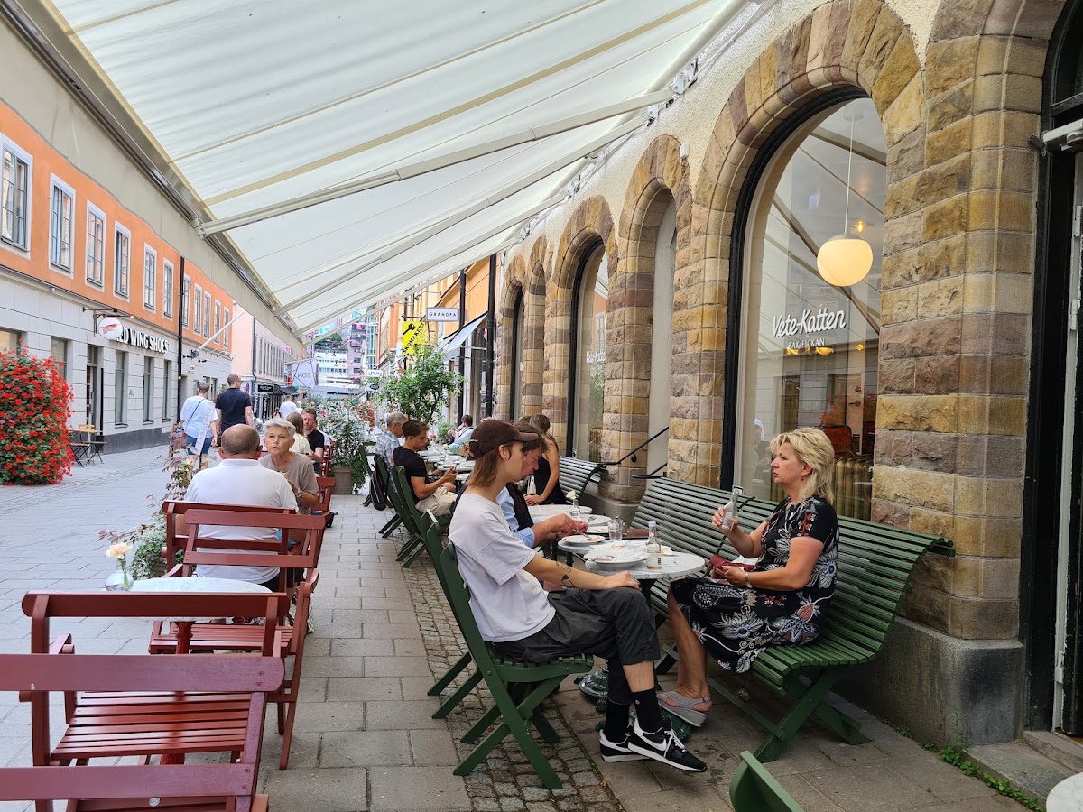 Vete-Katten Kungsgatan