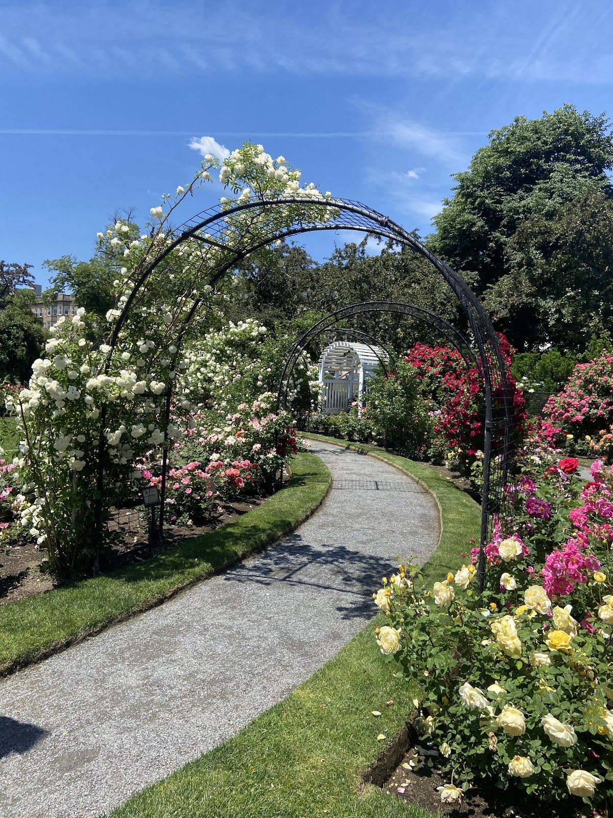 James P. Kelleher Rose Garden