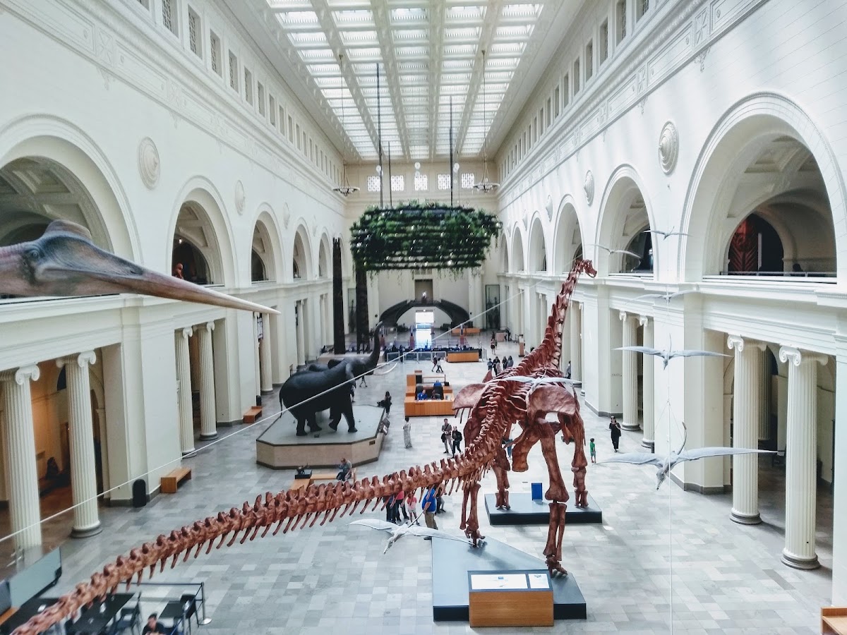 The Museum Campus