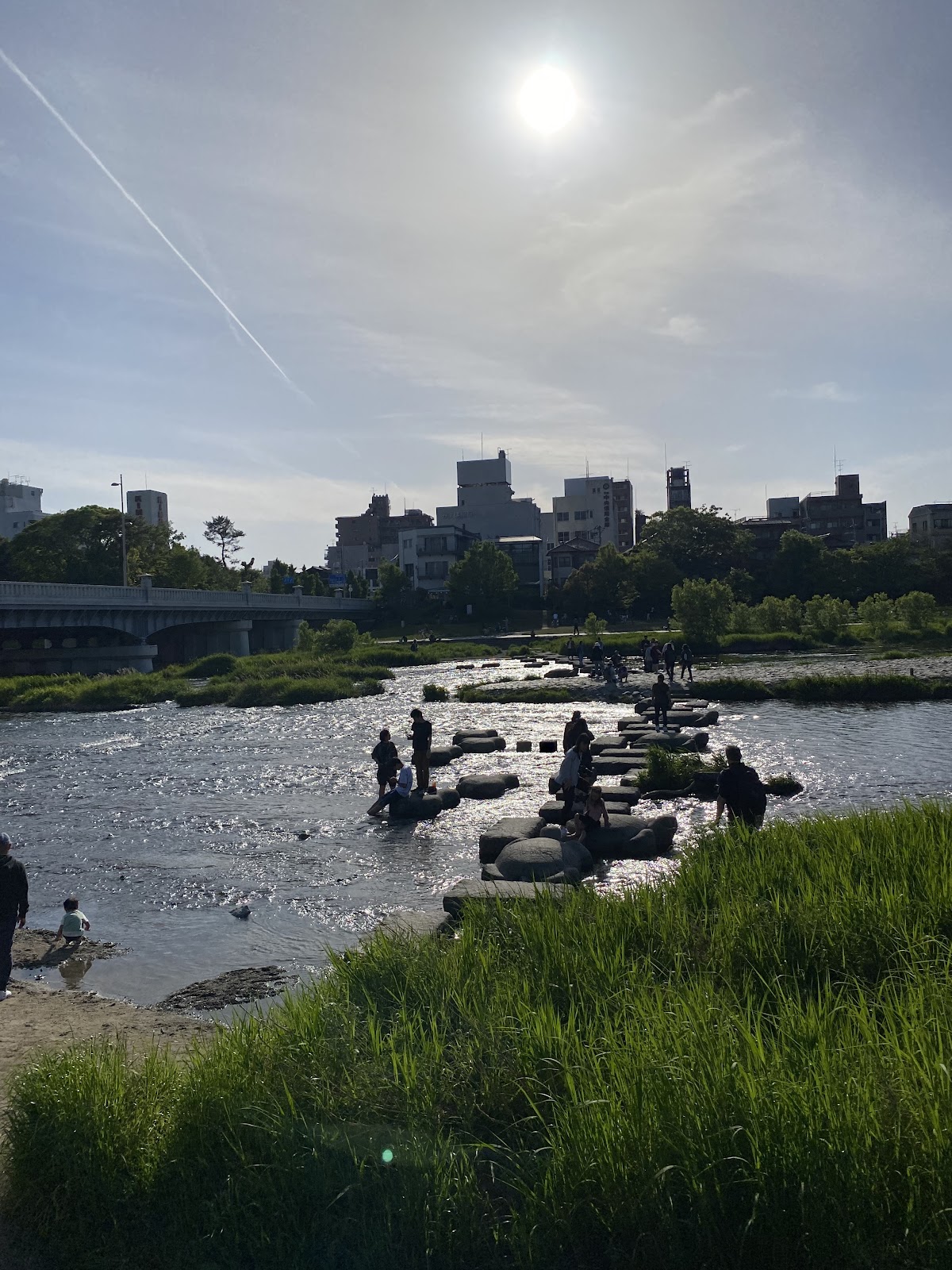 Kamogawa Delta