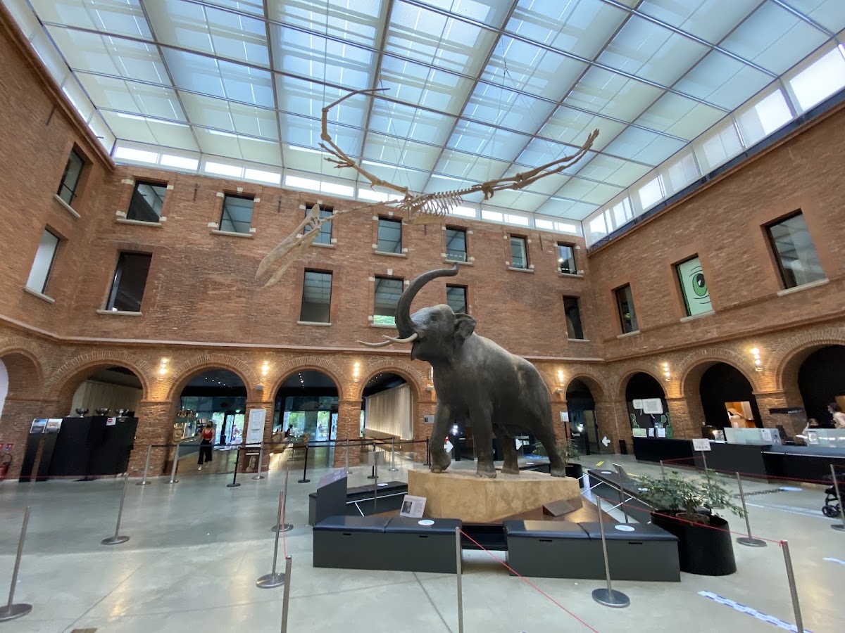 Muséum de Toulouse