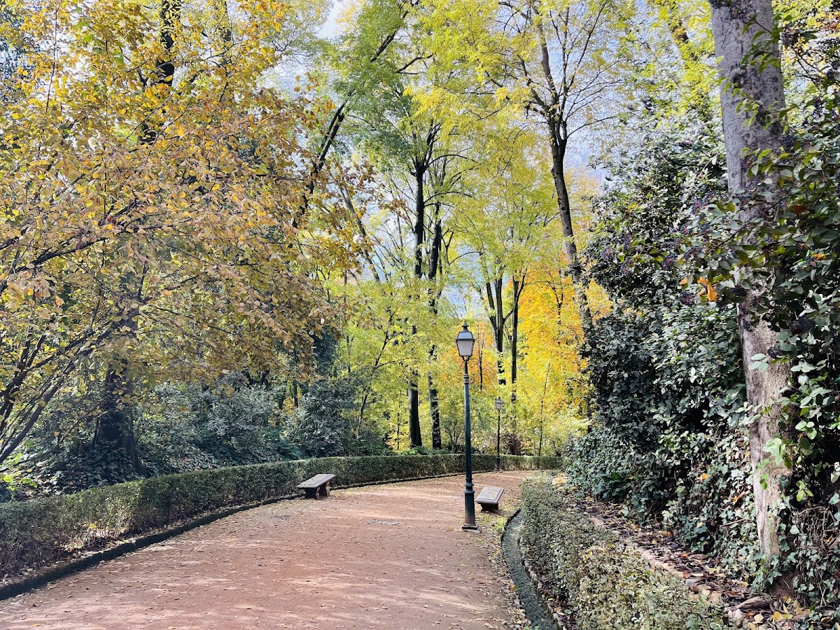 Alhambra Forest