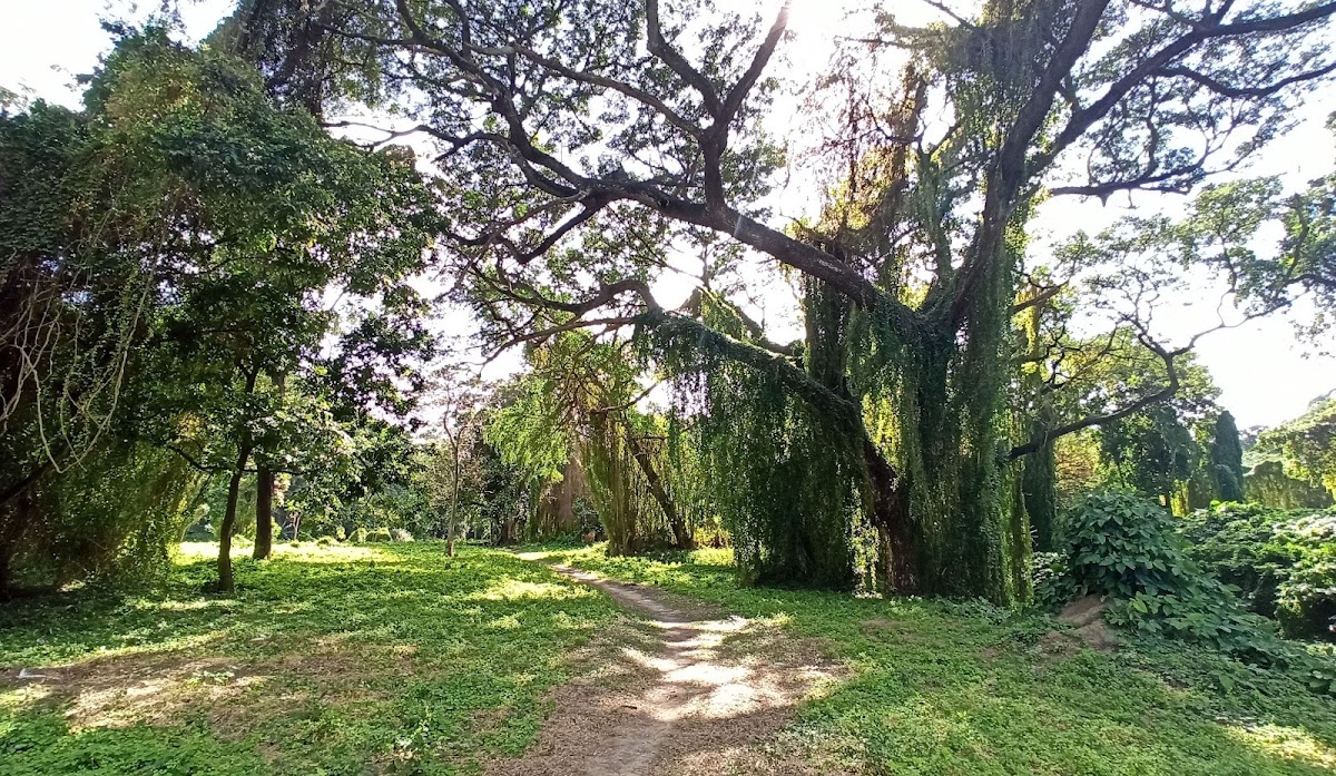 Parque Almendares