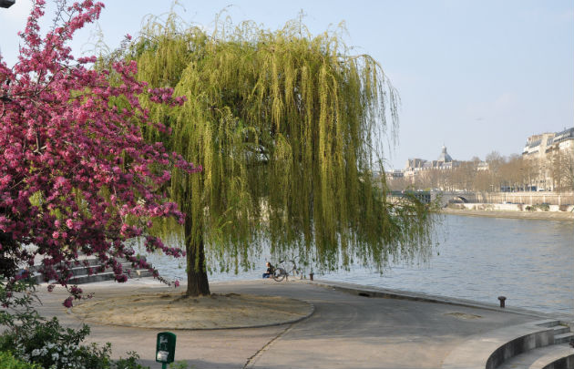Tino Rossi Garden