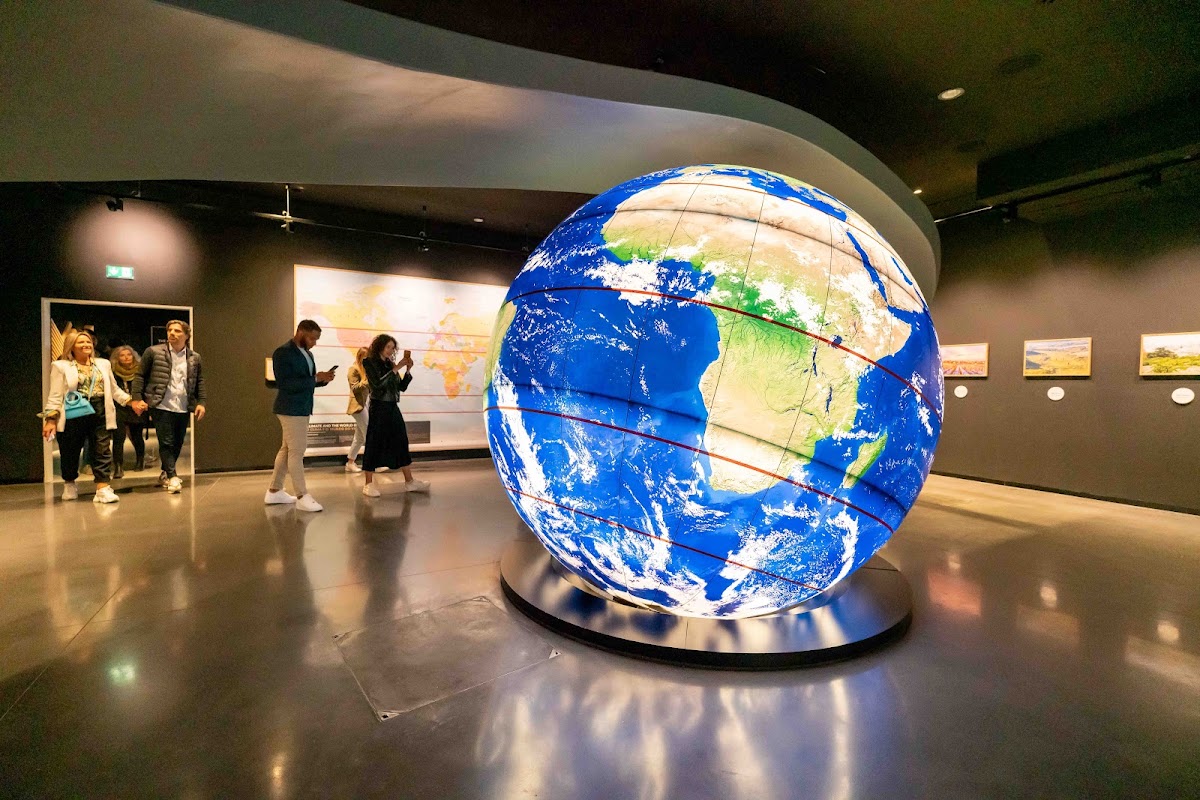 The Wine Experience - Wine Museum