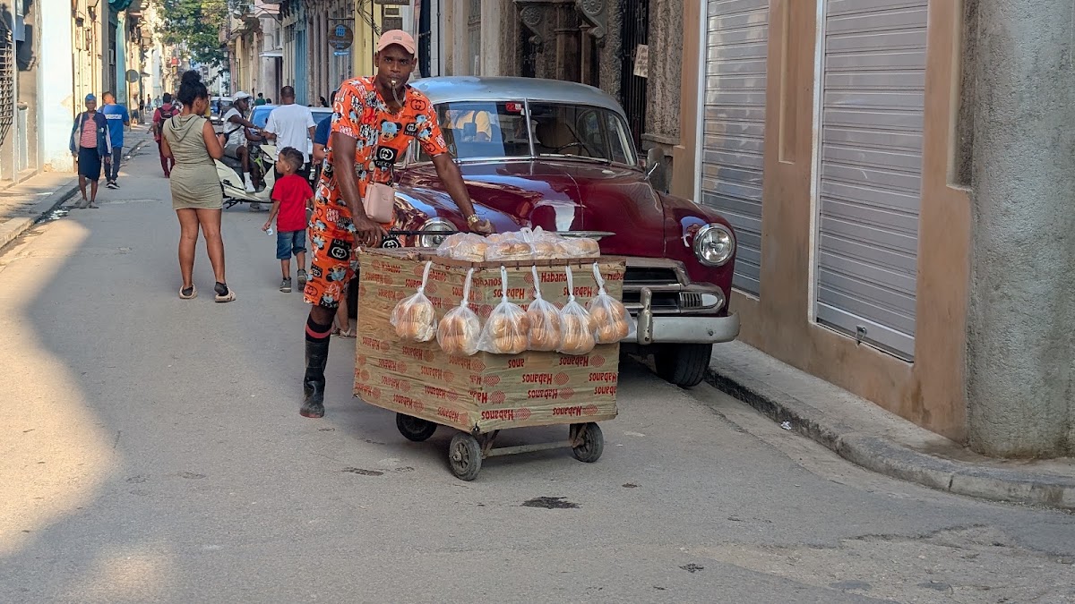 Old Cars Havana