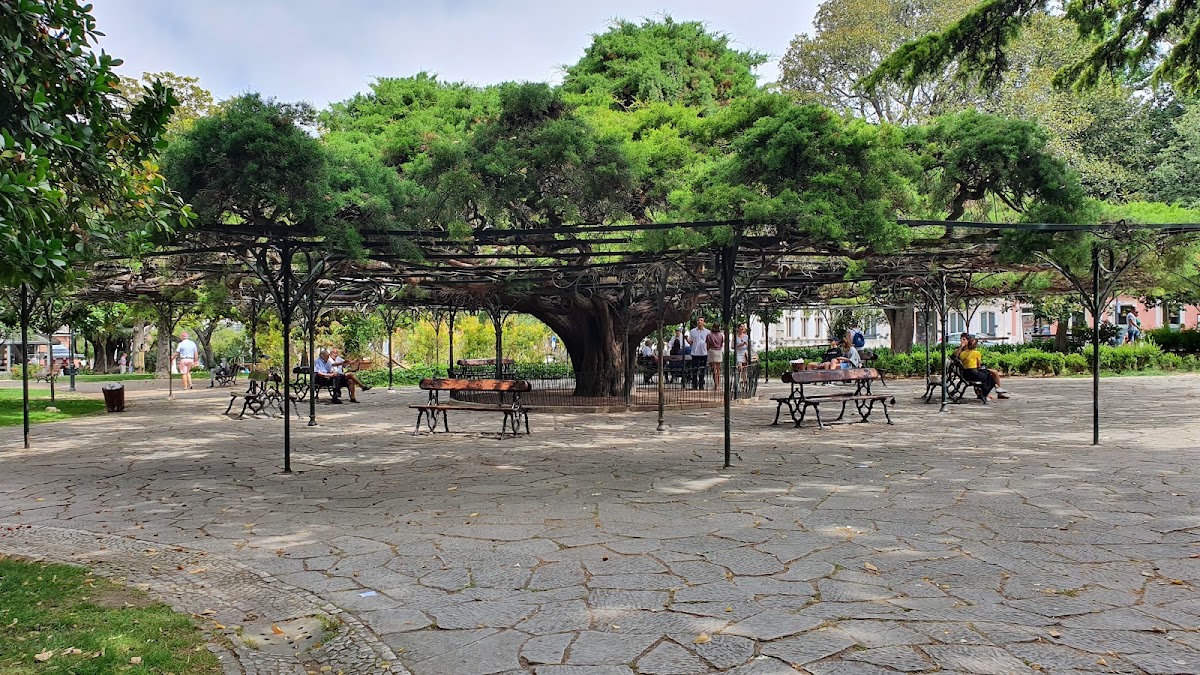 Principe Real Garden